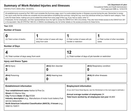 The top of the printed OSHA Form 300A summary: cases, days away, injury types and the establishment